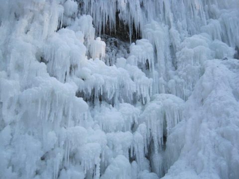 éventail hérisson hiver