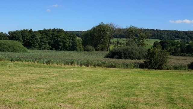 La légende de la chèvre des marais de Saulnot