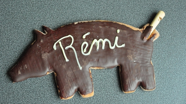 Le cochon de pain d’épices de la Sainte-Catherine